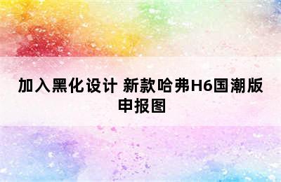 加入黑化设计 新款哈弗H6国潮版申报图